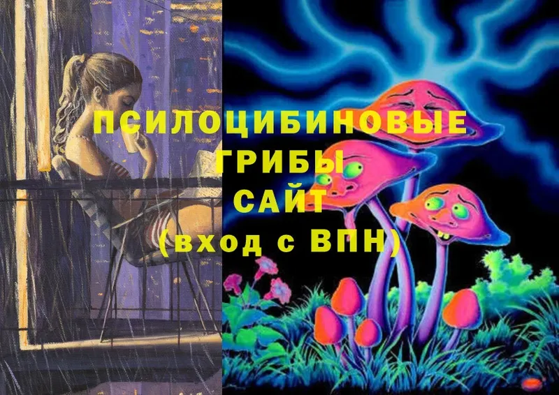 продажа наркотиков  Баймак  Галлюциногенные грибы Magic Shrooms 